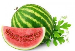 柠吃瓜吗,揭秘娱乐圈的甜蜜与苦涩