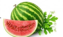 柠吃瓜吗,揭秘娱乐圈的甜蜜与苦涩