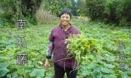 乡下吃瓜大妈小说,大妈的乡村生活传奇