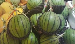 长沙师范吃瓜,一场“吃瓜”事件背后的校园生活