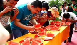 吃瓜赛热潮下句,揭秘网络狂欢背后的故事