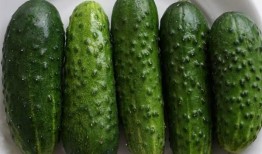 芦岗吃瓜,揭秘夏日消暑美食背后的故事