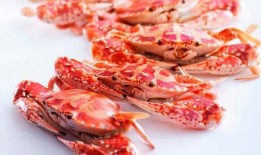 吃哈密瓜能吃螃蟹吗,美味搭配还是禁忌组合？