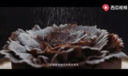 海角吃瓜视频,揭秘热门话题背后的真相与笑料