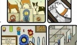 孩子吃瓜搞笑段子