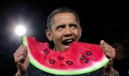 比奇堡明星吃瓜,揭秘娱乐圈幕后风云