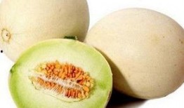 月经来可以吃玉菇瓜吗,月经期间适宜食用玉菇瓜的饮食建议