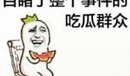 吃瓜群众苗先生,揭秘娱乐圈幕后故事