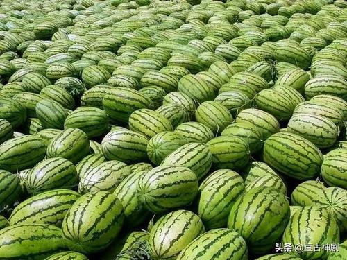 美得发紫吃瓜的视频