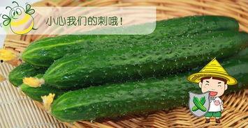 推荐网站吃瓜,跟随推荐网站探索娱乐圈风云变幻
